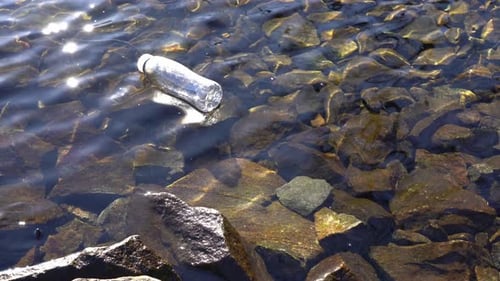 Discarded plastic bottle floating in shallows polluting Norway fjord.