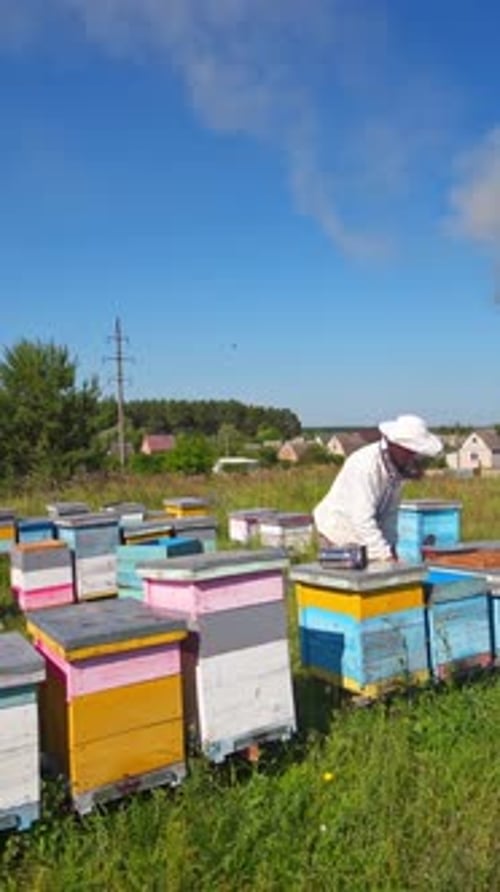 Apiary on the background of countryside. Beekeeper works on the apiary in a bright summer day.
