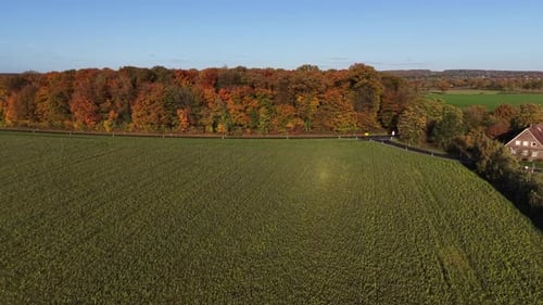 Breathtaking Aerial View of Autumn Forest and Green Countryside Fields