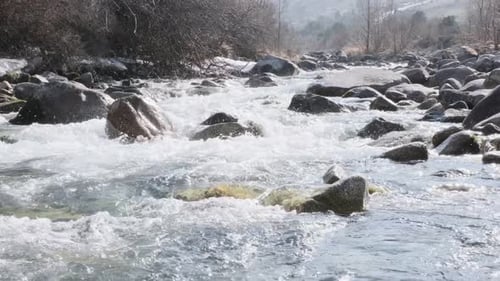 Mountain River Flowing Between Rocky Shores Summer Mountain River in Wood Water and Stones Slow