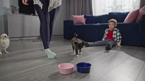 Woman feeds Puppy and Dog at Home