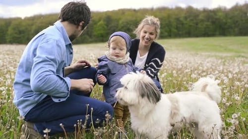 Parents With Their Little Son Outdoors On Meadow.