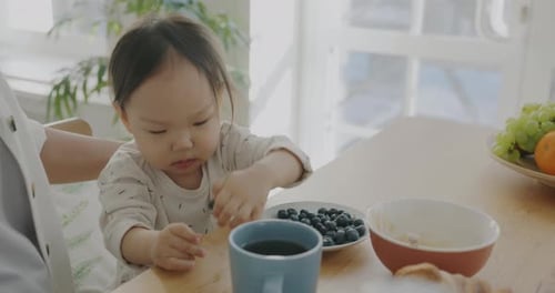 Toddler Enjoys Healthy Snack of Blueberries