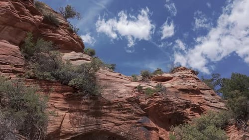 Blick nach unten auf die Sandsteinlandschaft in Zion