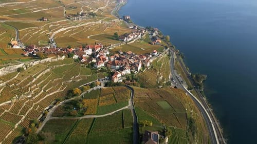 Parallax drone shot of Rivaz in Lavaux with vineyards and Lake Geneva