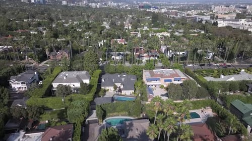Rising Aerial Shot Of Suburban Streets Lined With Palm Trees In Beverly Hills, Los Angeles.