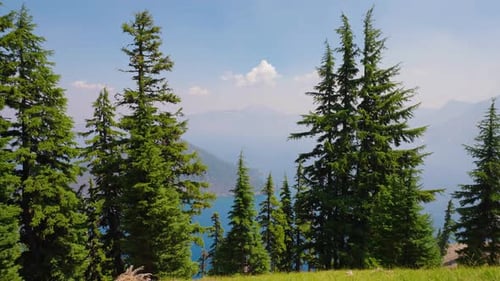 Vistas del lago del cráter con el bosque circundante en un día de verano