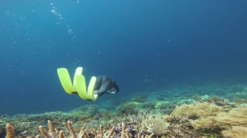 A professional freediver in a swimming wetsuit swims effortlessly above a vibrant coral reef.