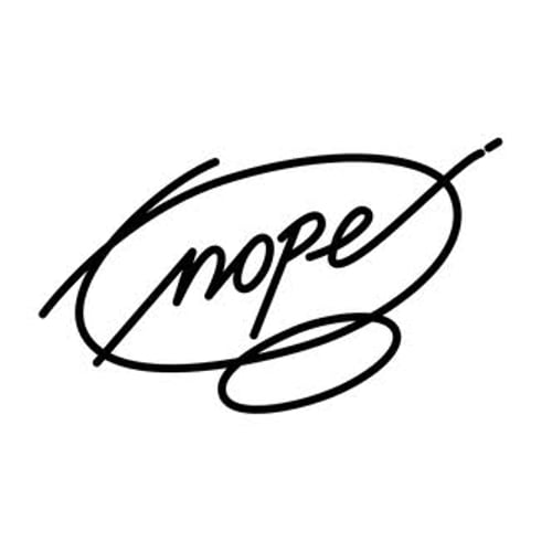 Elegant Animated Line Drawing Signature Reveal