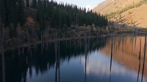 Scenic Lake View with Reflections and Trees Camera Pans Across Landscape