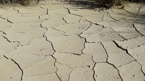 Cracked Dry Ground in an Arid Desert Landscape