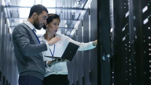Two Data Specialists Review Servers in Bright Room