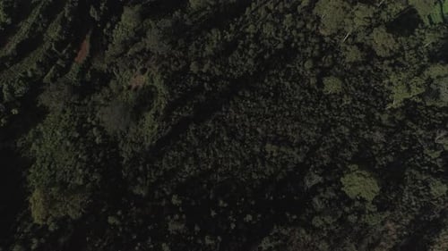 Revealing drone shot of a Cliff with a bright skyline in Sri Lanka.