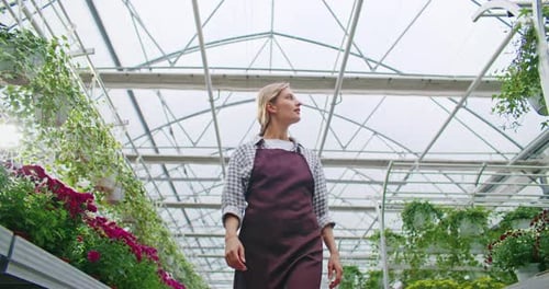 Woman Walking Through Bright Greenhouse of Plants