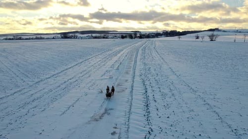 Aerial drone shot of a local on a sleigh pulled by horses carrying basic aminities across the snow c