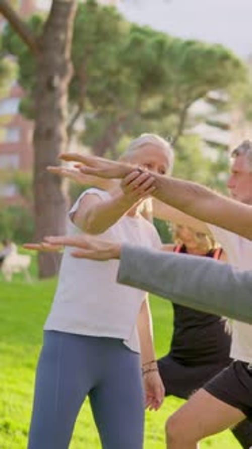 Senior People Practicing Yoga in the Park