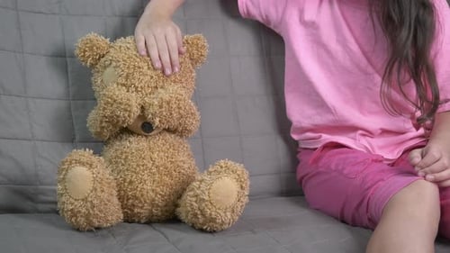 Take Teddy From the Sofa