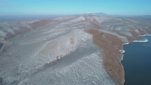 Aerial View of a Frozen Forest with Snow Covered Trees at Winter Flight Above Winter Forest Aerial