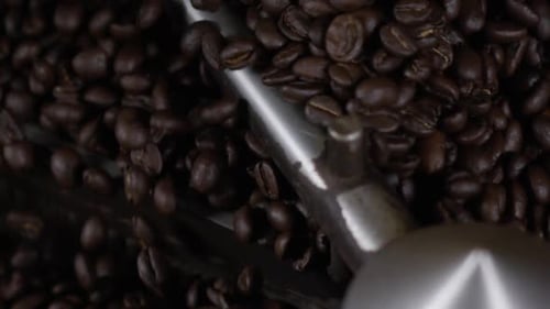 Close up of Roasting Coffee Beans in Machine