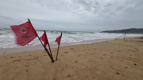 Red Flags Waving on the Sandy Beach Shore