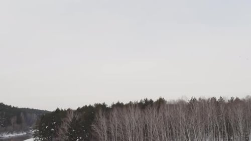 High Angle of Frozen River and Snowy Forest