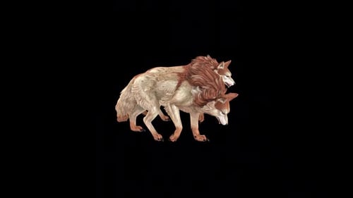 Two Wolf Walk Head Down