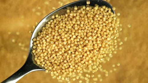 Dry Millet Seeds Filling a Spoon Macro Shot