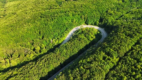 Winding road through lush green forest.