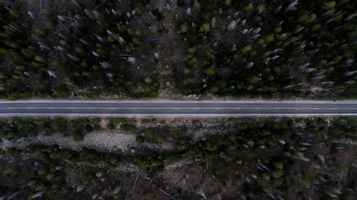 Right Trucking Aerial top bird's eye drone shot of a small canyon highway in the Uinta Wasatch Cache