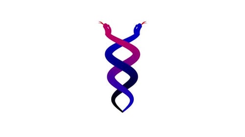 Infinity Snake Spiral Animation