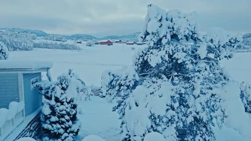 Snow Covered Rural Homes and Trees in Winter