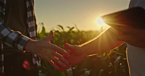 Farmers Handshake in Cornfield at Sunset