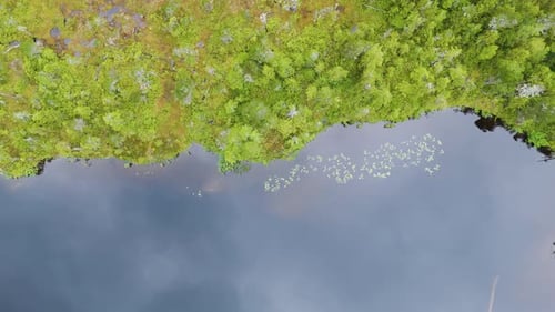 Aerial view of a lake surrounded by trees, United States.