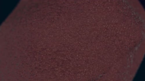 Abstract Organic Texture Background Motion Loop