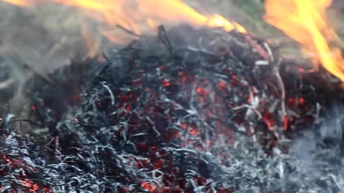 Burning Pile of Grass and Brush
