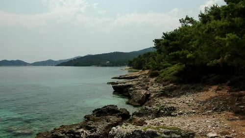 A serene coastal landscape with clear blue water, rocky shores, and lush green trees. Rolling hills