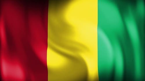 Guinea Flag Loop