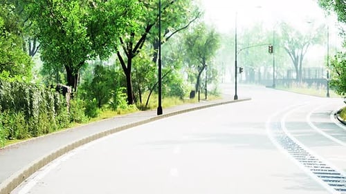 Foto da estrada que atravessa o meio da floresta