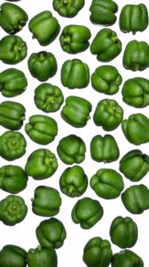 Vertical Falling Green Bell Peppers on White