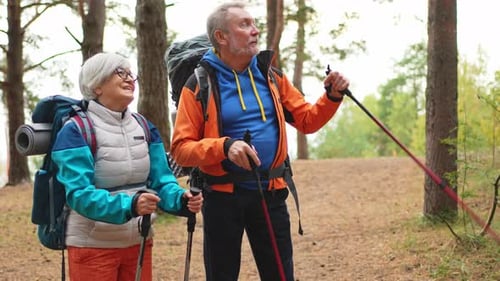 Hiking Tourism Adventure Senior Couple Man Woman Enjoying Outdoor Recreation Hiking in Forest Happy