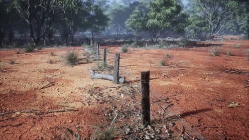 POV Walk Through Australian Outback with Old Fence