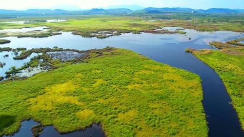 Aerial view over beautiful wetlands