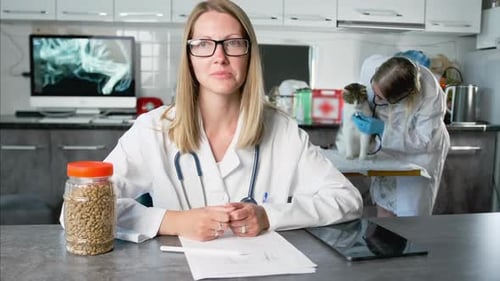 Close-up of a veterinarian at a consultation table looking at the camera about a diagnosis