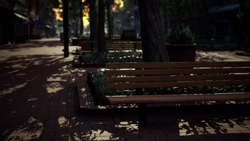 Empty Park After Park is Closed Due to Coronavirus Covid19 Pandemic Outbreak