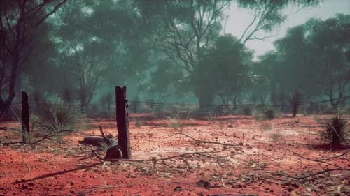 Rustic Barbed Wire Fence in Arid Landscape Background