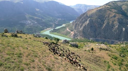 Eid al-Adha