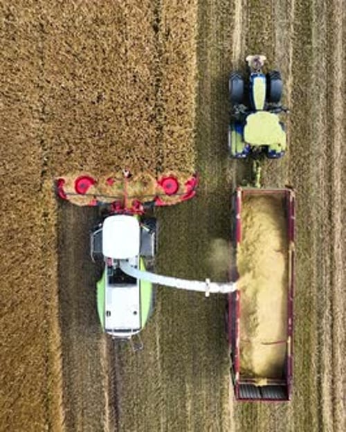 Vue aérienne d'une moissonneuse-batteuse en train de récolter du blé et de charger les grains de maïs dans un train tracteur