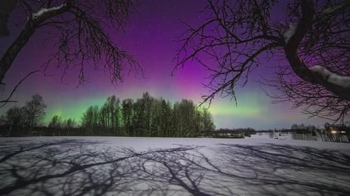 Dancing northern lights at the horizon over a dense forest till sunrise .Timelapse shot