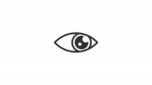 Simple Flat Design Eye Blinking Icon Animation