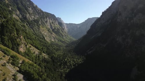 A large gorge covered with forest. Mountain landscape. Aerial view.
